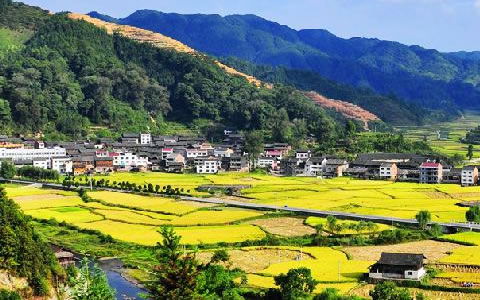 祝賀仟億達(dá)集團(tuán)與錦屏縣就林業(yè)碳匯項目達(dá)成合作 祝賀仟億達(dá)集團(tuán)與錦屏縣就林業(yè)碳匯項目達(dá)成合作