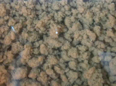 污泥、活性污泥粒狀顆粒