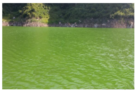 凈化水新技術(shù) 凈化水新技術(shù)